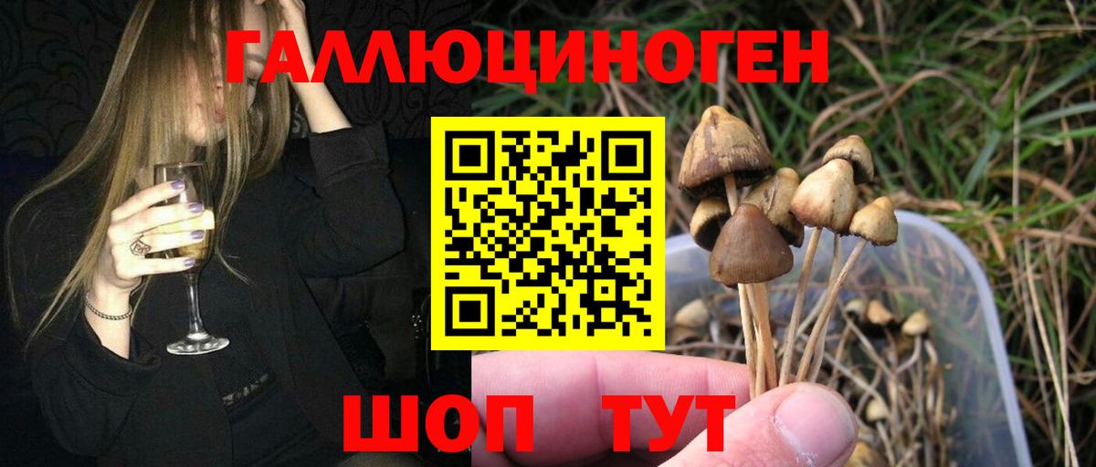 наркота  Галлюциногенные грибы Psilocybine cubensis  Вход с VPN  Долгопрудный 