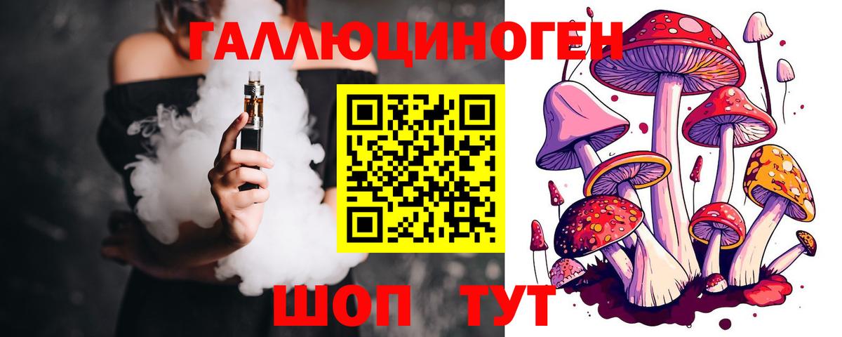 Псилоцибиновые грибы мицелий Долгопрудный