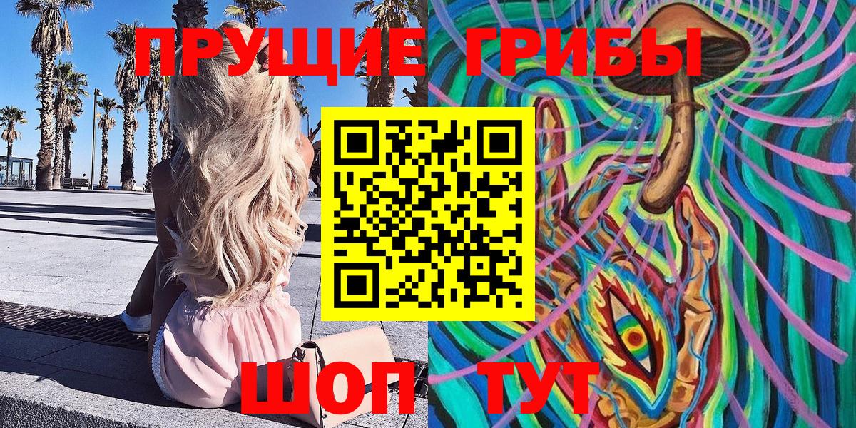 где купить наркотик  Долгопрудный  Галлюциногенные грибы Cubensis 